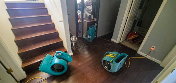 Best Water damage restoration specialists  in Macungie, PA