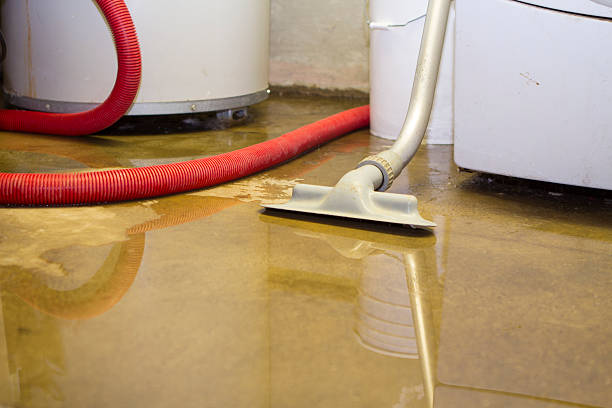 Best Mold removal after water damage  in Macungie, PA